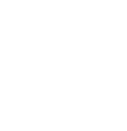 Lost Baggage