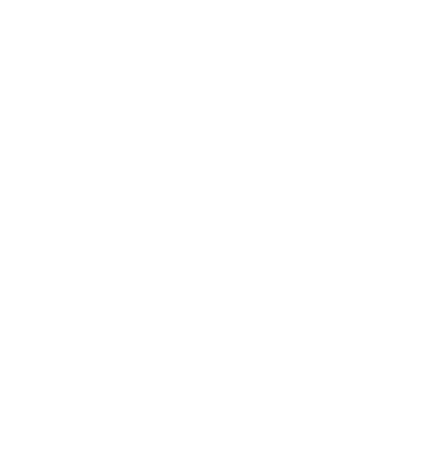 Baggage & Personal Belongings