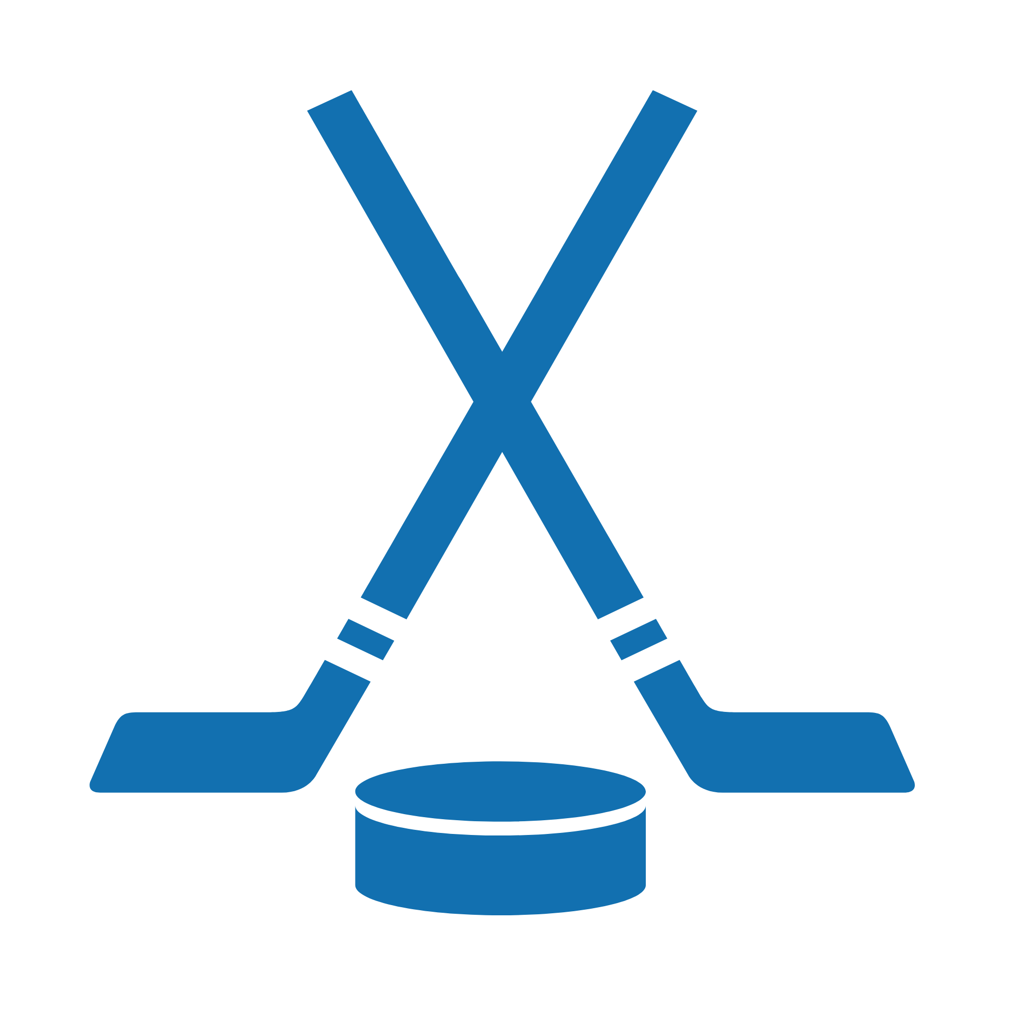 Amateur Hockey Programs